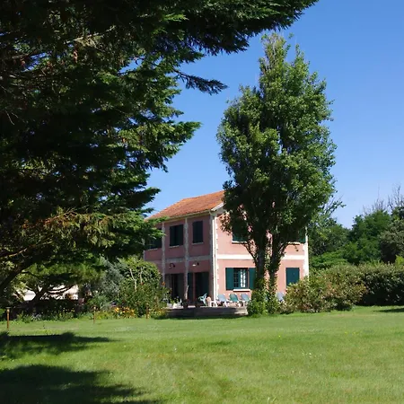 Hotel Des Pins 3*