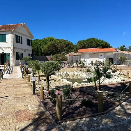 Des Pins Soulac-sur-Mer